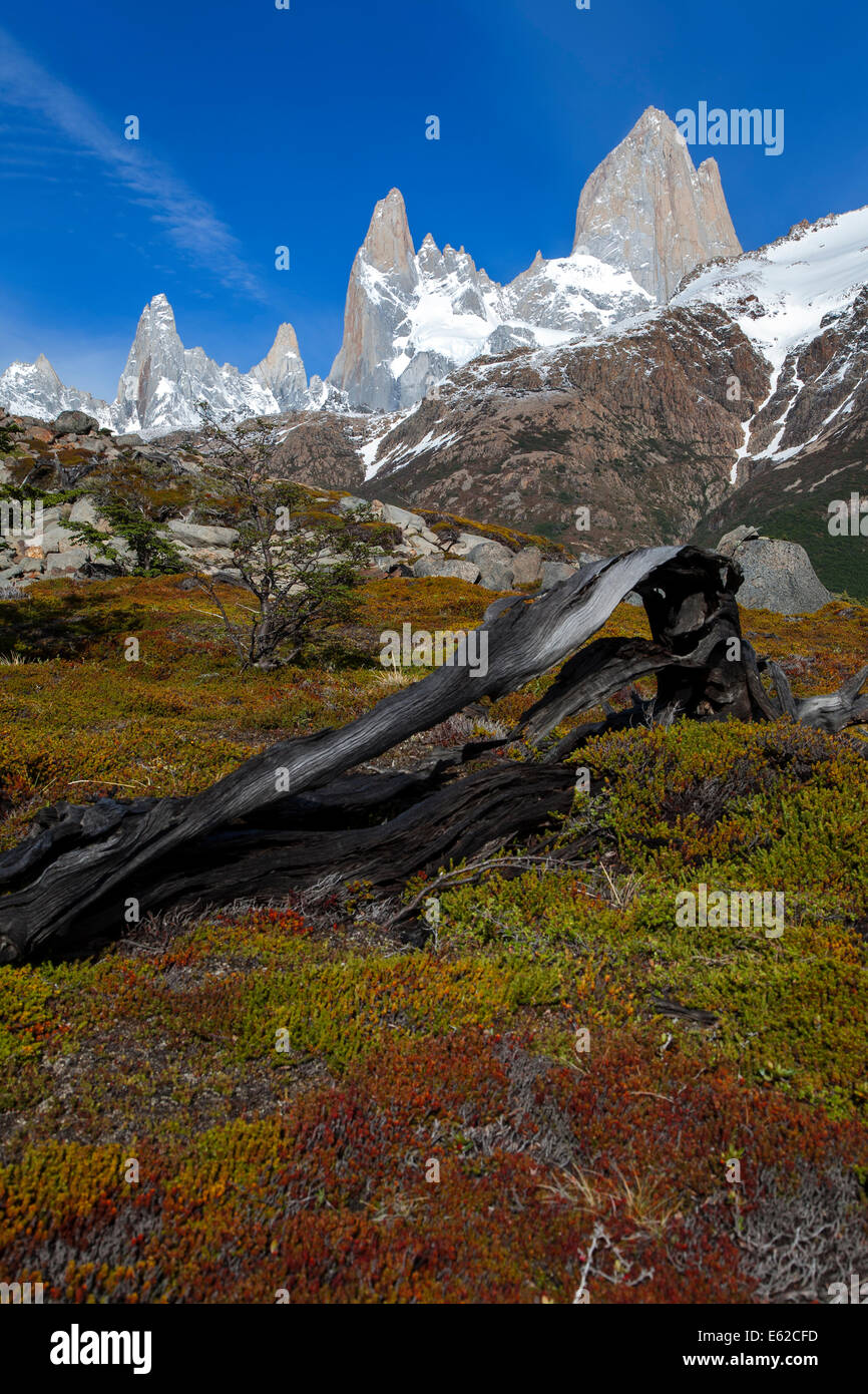 Mount Fitz Roy. Nationalpark Los Glaciares. Patagonien. Argentinien Stockfoto
