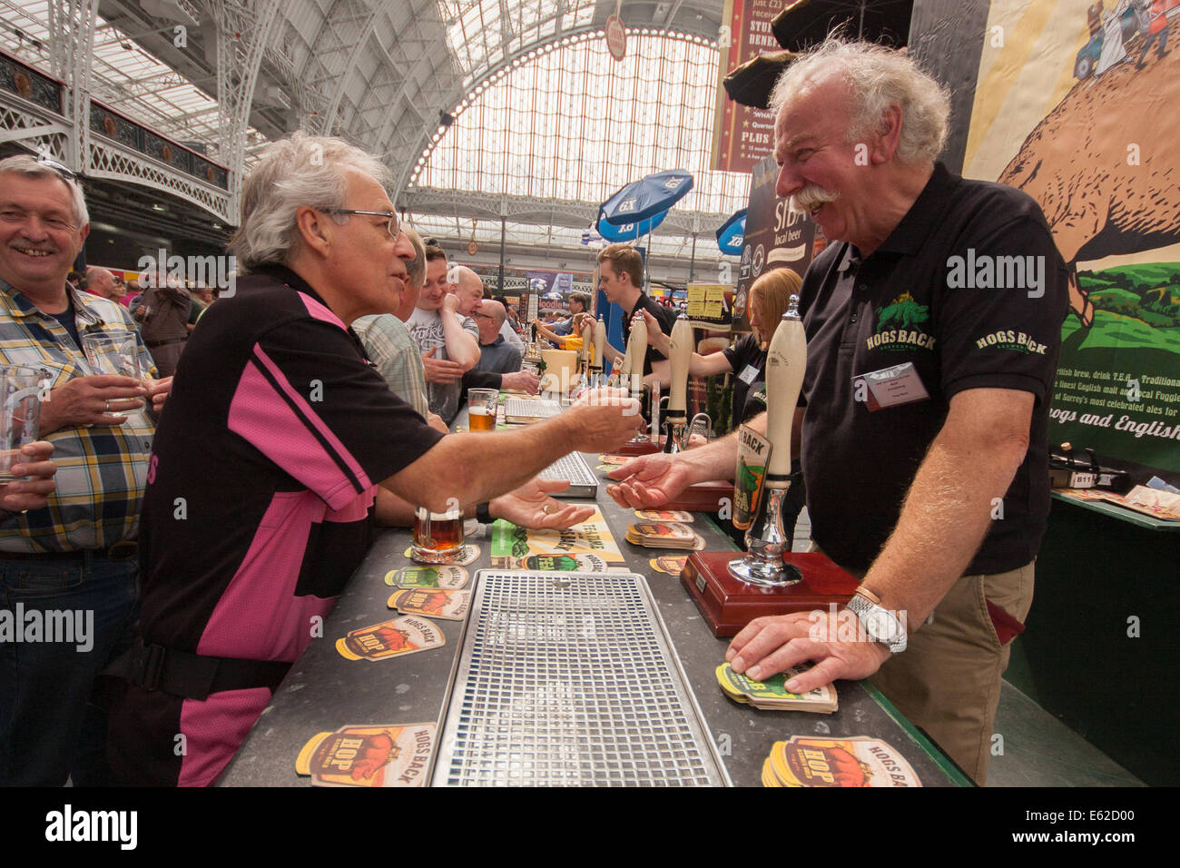 Olympia, London, UK. 12. August 2014. Besucher der CAMRA Great British Beer Festival probieren Hog wieder Brauerei Ales. Bildnachweis: Paul Davey/Alamy Live-Nachrichten Stockfoto