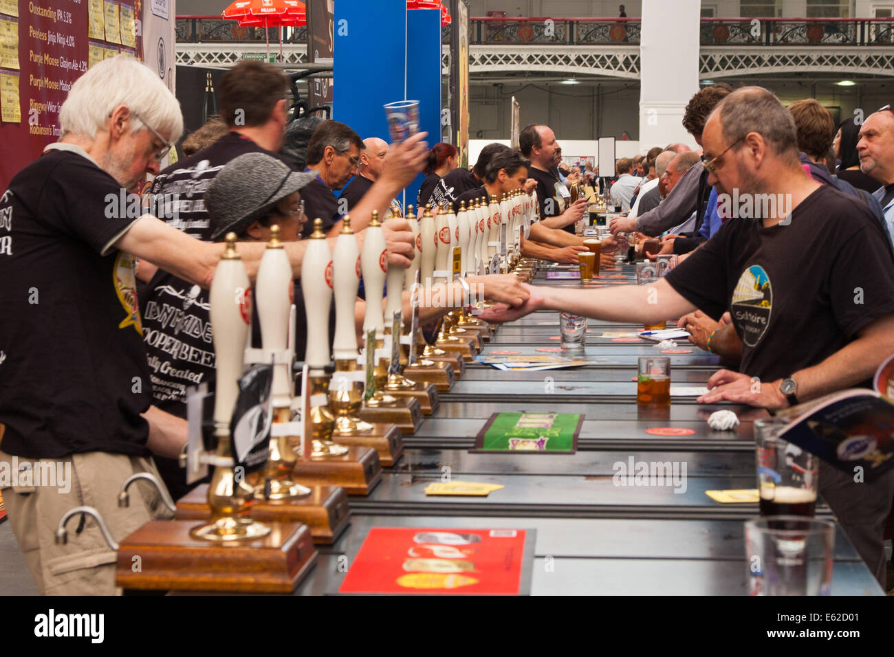 Olympia, London, UK. 12. August 2014. Lebhaftes Geschäft erfolgt an der Zapfsäule, wie Hunderte von Menschen 900 verschiedene Ales, internationale Biere, Apfelwein und Birnenmoste an der CAMRA Great British Beer Festival probieren. Bildnachweis: Paul Davey/Alamy Live-Nachrichten Stockfoto