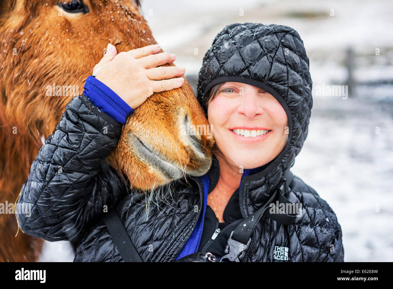 Porträt der Frau mit einem isländischen Pferdes, Island Stockfoto