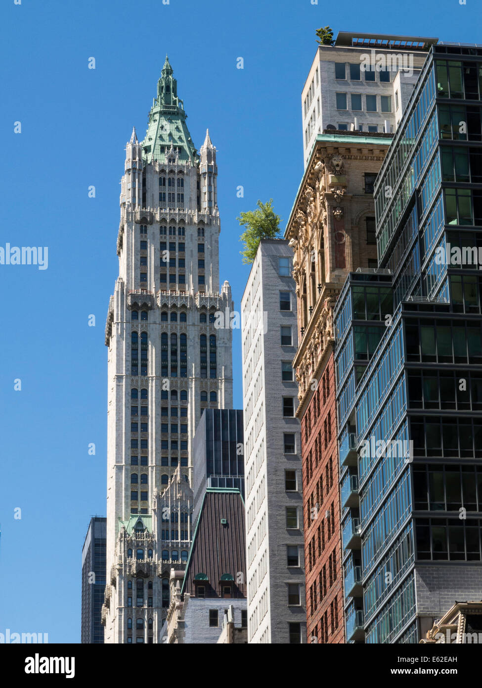 Woolworth Building, NYC, USA Stockfoto