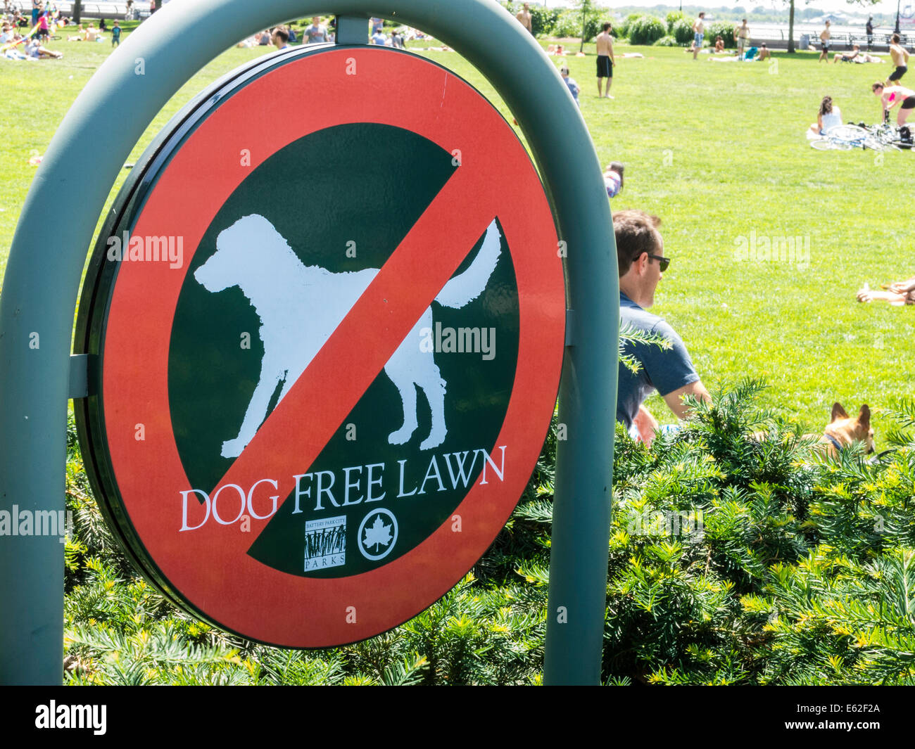 Hund kostenlos Rasen anmelden in Nelson A. Rockefeller Park in Battery Park City, New York Stockfoto