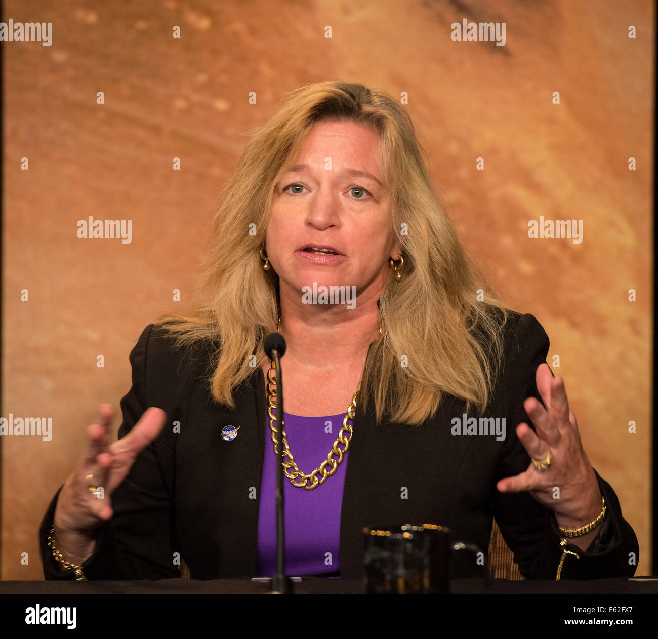 Ellen Stofan, NASA-Chefwissenschaftler gibt Anmerkungen während einer Pressekonferenz, wo wurde es bekannt gegeben, welche Instrumente an Bord der Agentur 2020 Mars Mission, Donnerstag, 31. Juli 2014 im NASA-Hauptquartier in Washington durchgeführt werden wird. Der neue Rover tragen m Stockfoto