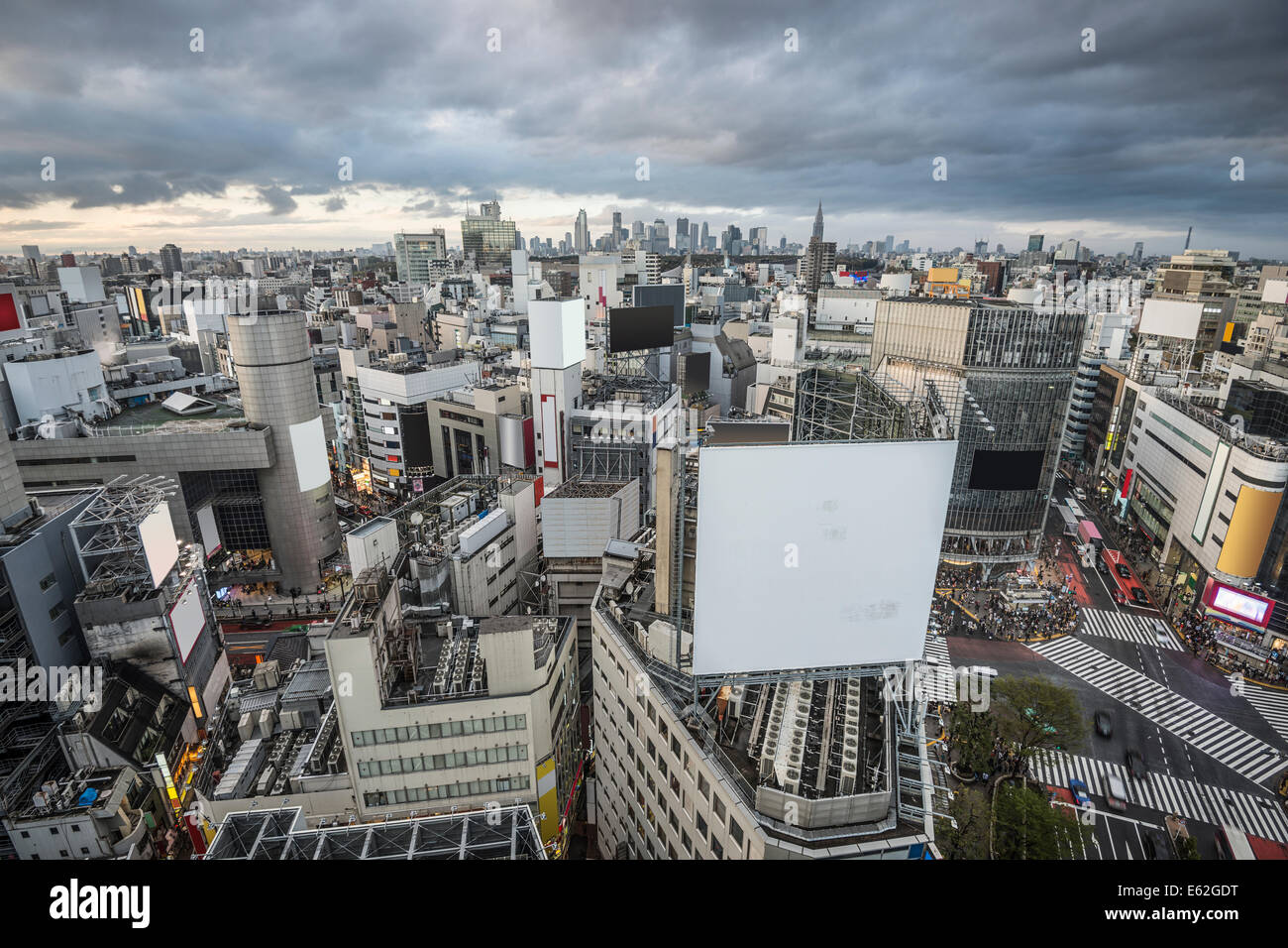 Luftaufnahme über Shibuya Ward in Tokio, Japan. Stockfoto