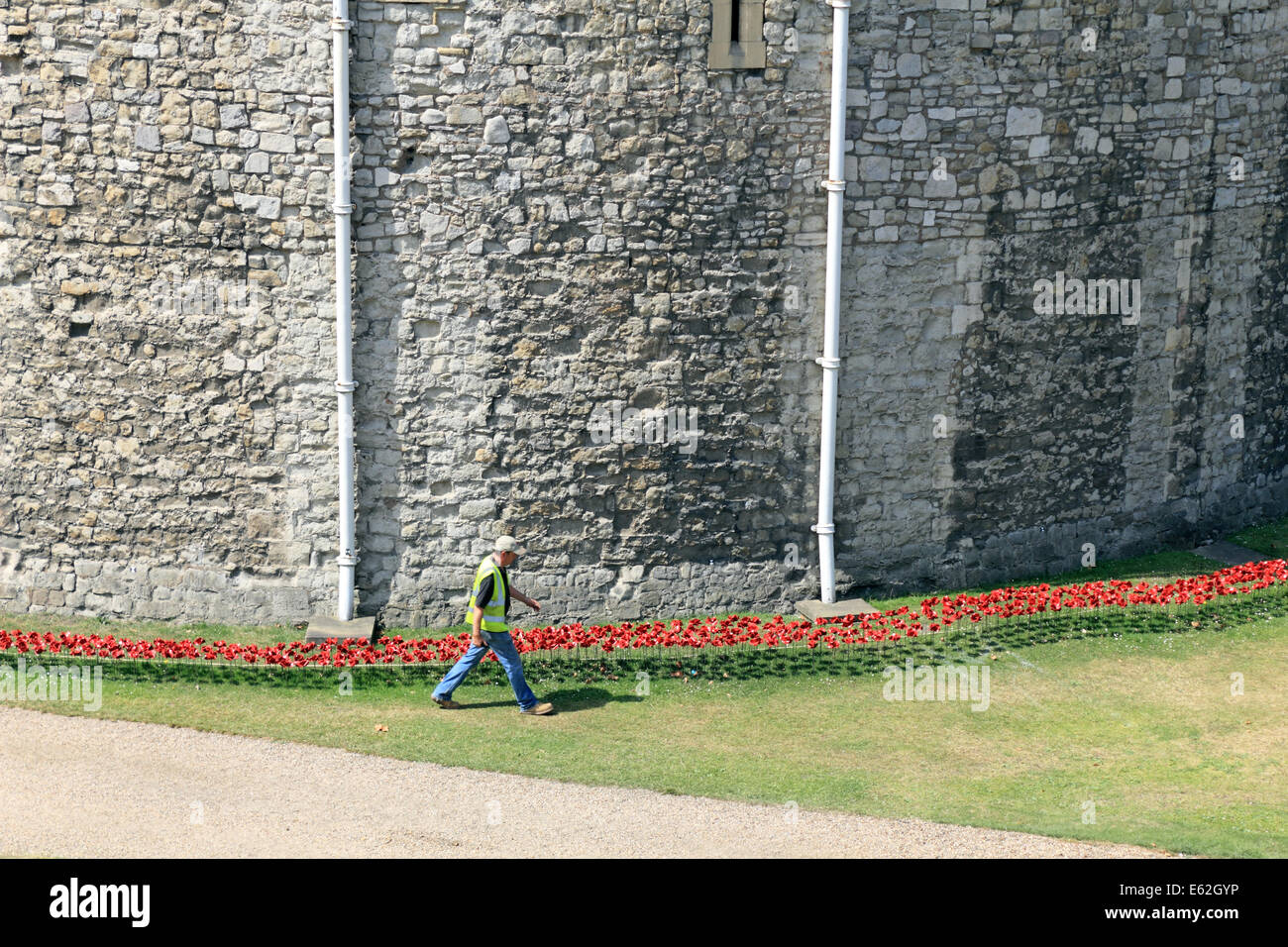 WW1 Erinnerung Keramik Mohnblumen in London Tower UK Stockfoto