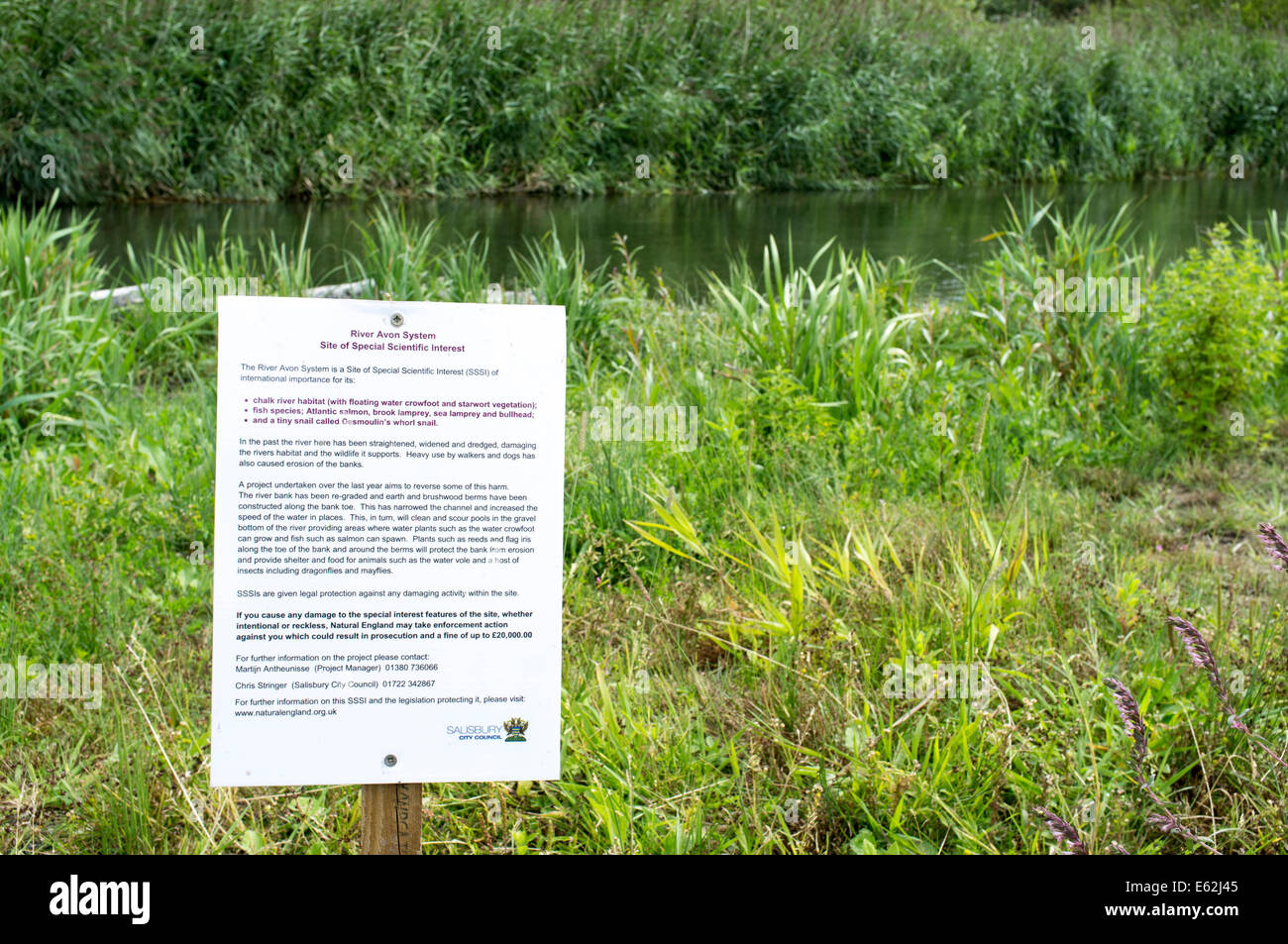 Kleines Schild neben Fluss Avon Salisbury UK unter Angabe einer SSSI Website von besonderem wissenschaftlichen Interesse Stockfoto