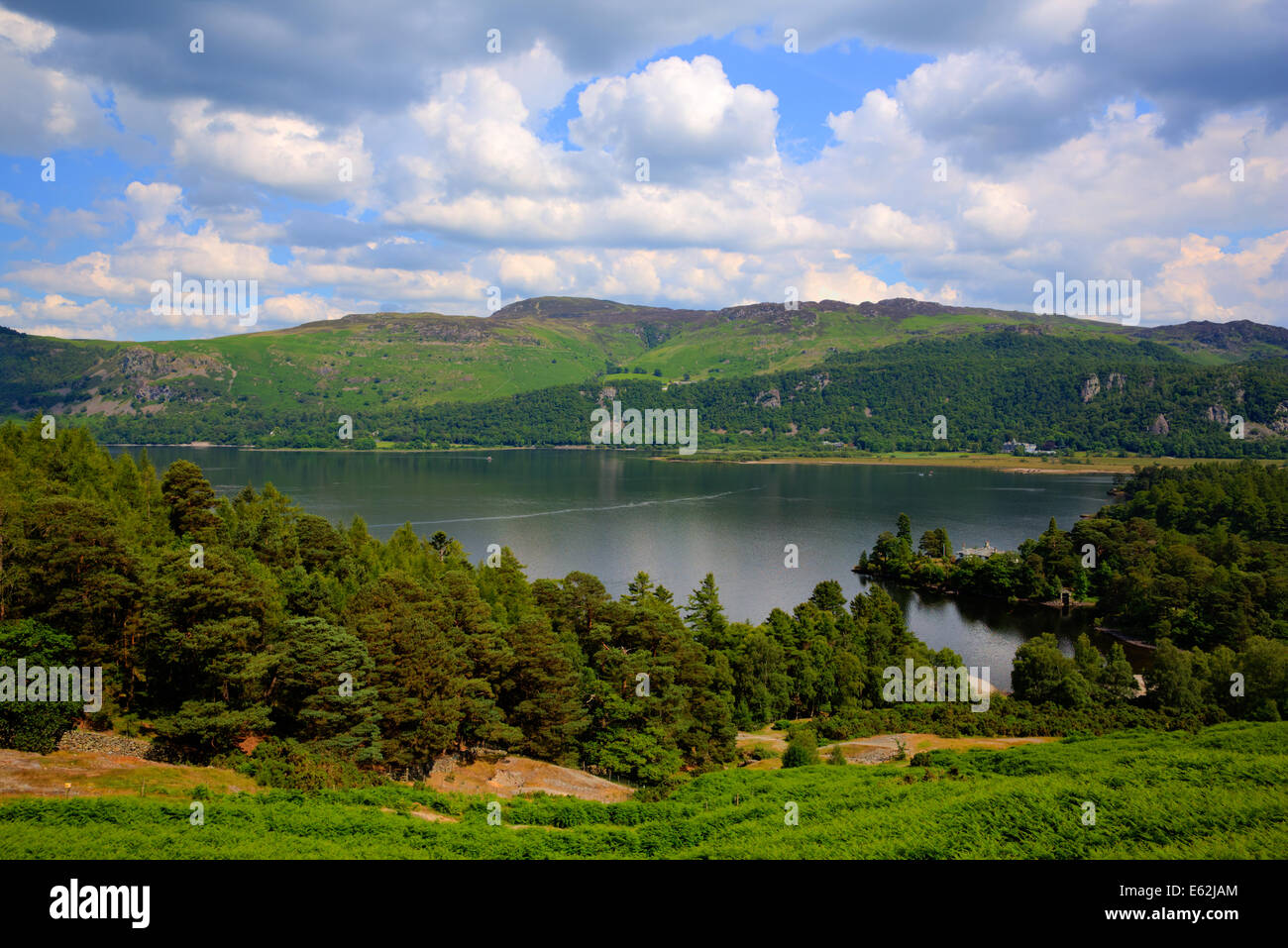 Brandelhow Bay Derwent Water Lake District Cumbria England UK Stockfoto