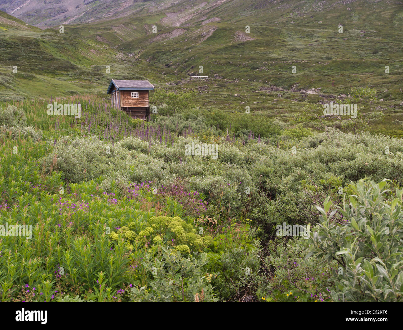 Nebengebäude am Torfinnsbu, einer Hütte am Rande des Nationalpark Jotunheimen Norwegen, üppige Pflanzenwelt auf 1000 m Stockfoto