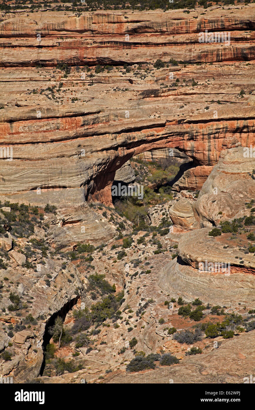 Sipapu Natural Bridge (zweitgrößte natürliche Brücke in der Welt), Natural Bridges National Monument, Utah, USA Stockfoto