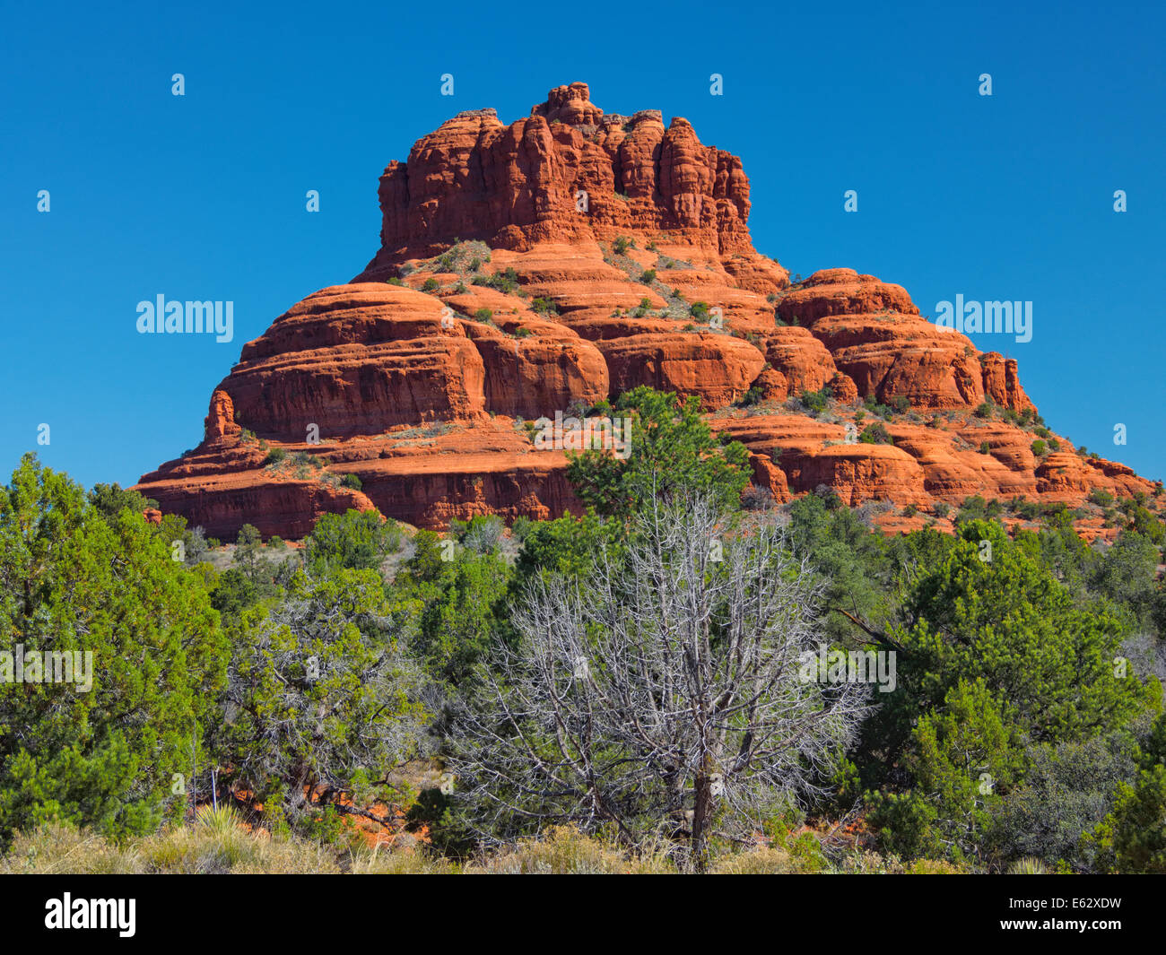 Bell Rock Sedona Arizona ein beliebtes Wahrzeichen Reiseziel eines roten Felsformationen im Südwesten der Vereinigten Staaten Stockfoto