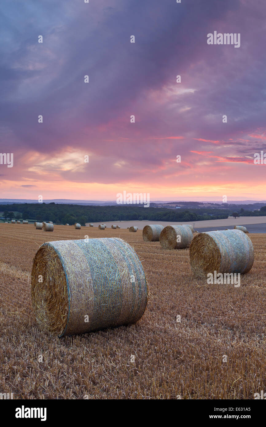 Heuballen auf den South Downs in der Nähe von Lewes, East Sussex, England, UK Stockfoto