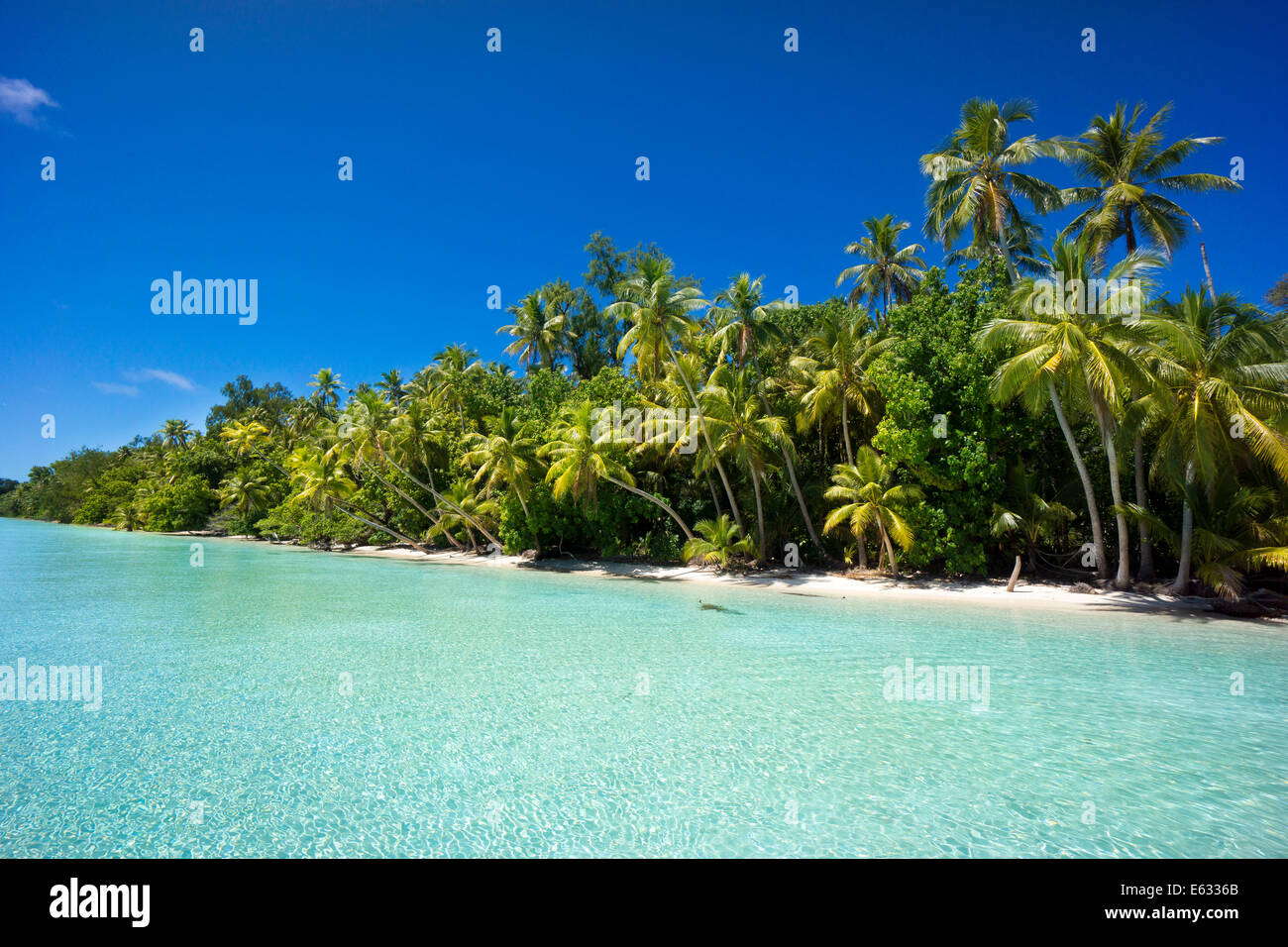 Lagune mit einem sandigen Strand und Palmen Bäume, Peleliu, Palau, Mikronesien Stockfoto