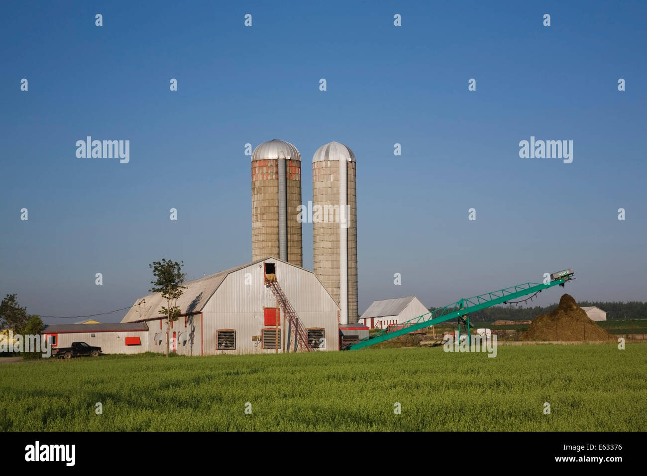 Dairy Farm Gebäude mit zwei Getreide Silos, Saint-Jean, Ile d ' Orleans, Quebec, Kanada Stockfoto