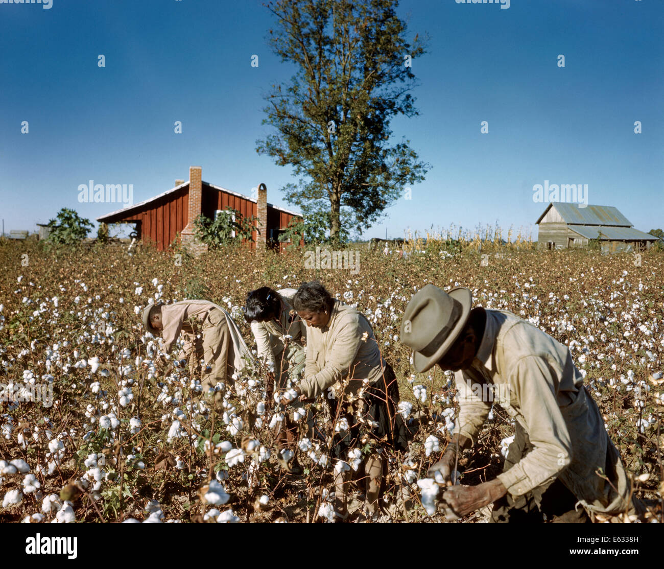 1950ER JAHREN BAUMWOLLE AFRICAN AMERICAN AKTIE LOCHEISEN KOMMISSIONIERUNG VON HAND USA Stockfoto