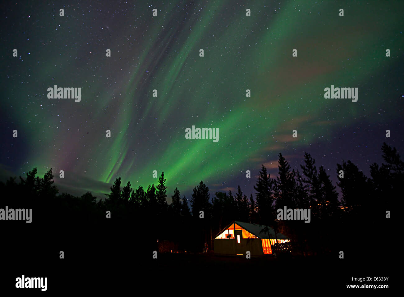 Vorhänge aus nördlichen Polarlichter und beleuchteter Kabine, Zelt, in der Nähe von Whitehorse, Yukon Territorium, Kanada Stockfoto