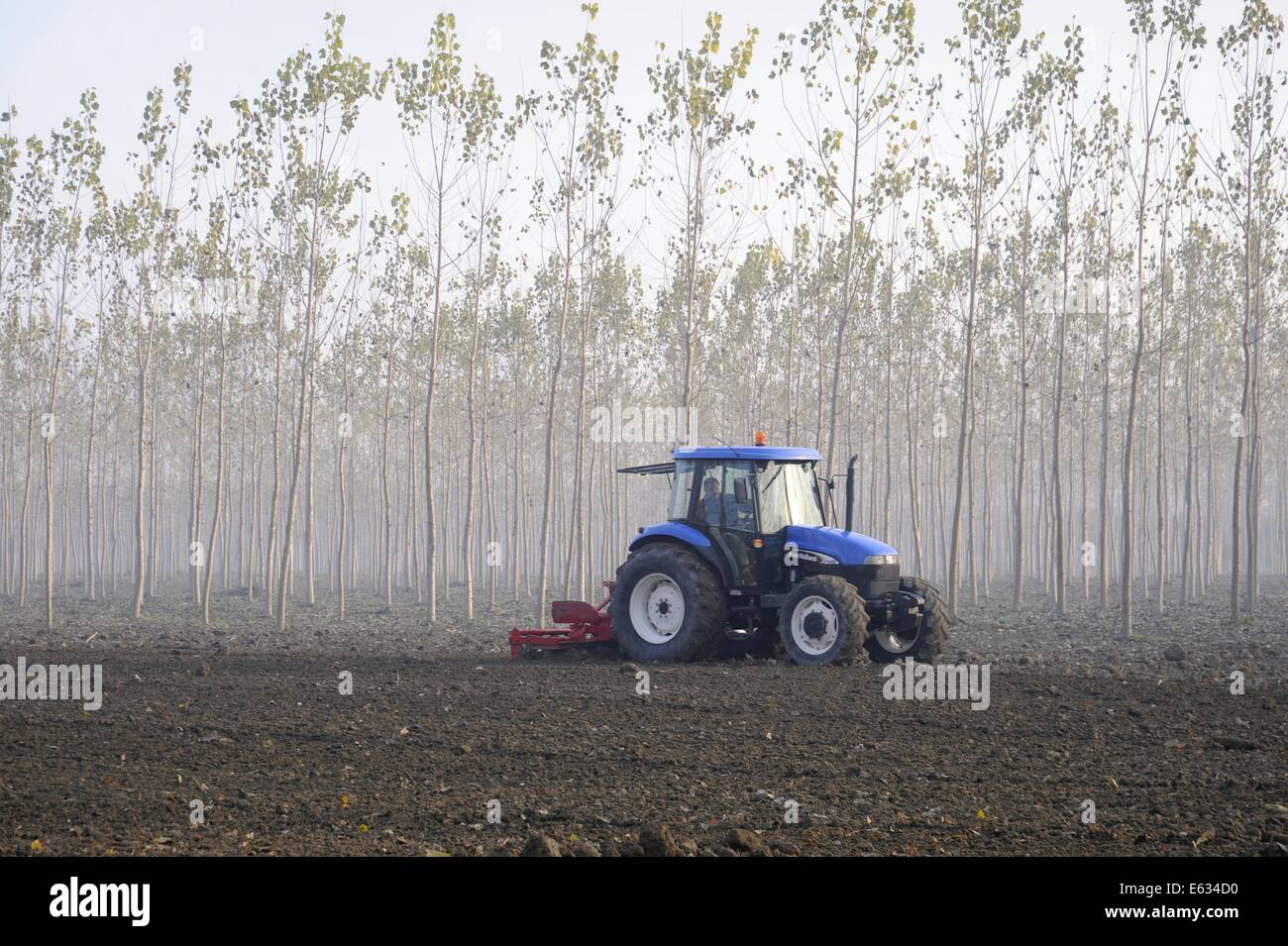 die Landschaft in der Nähe von Brescello (Reggio Emilia, Italien) Stockfoto