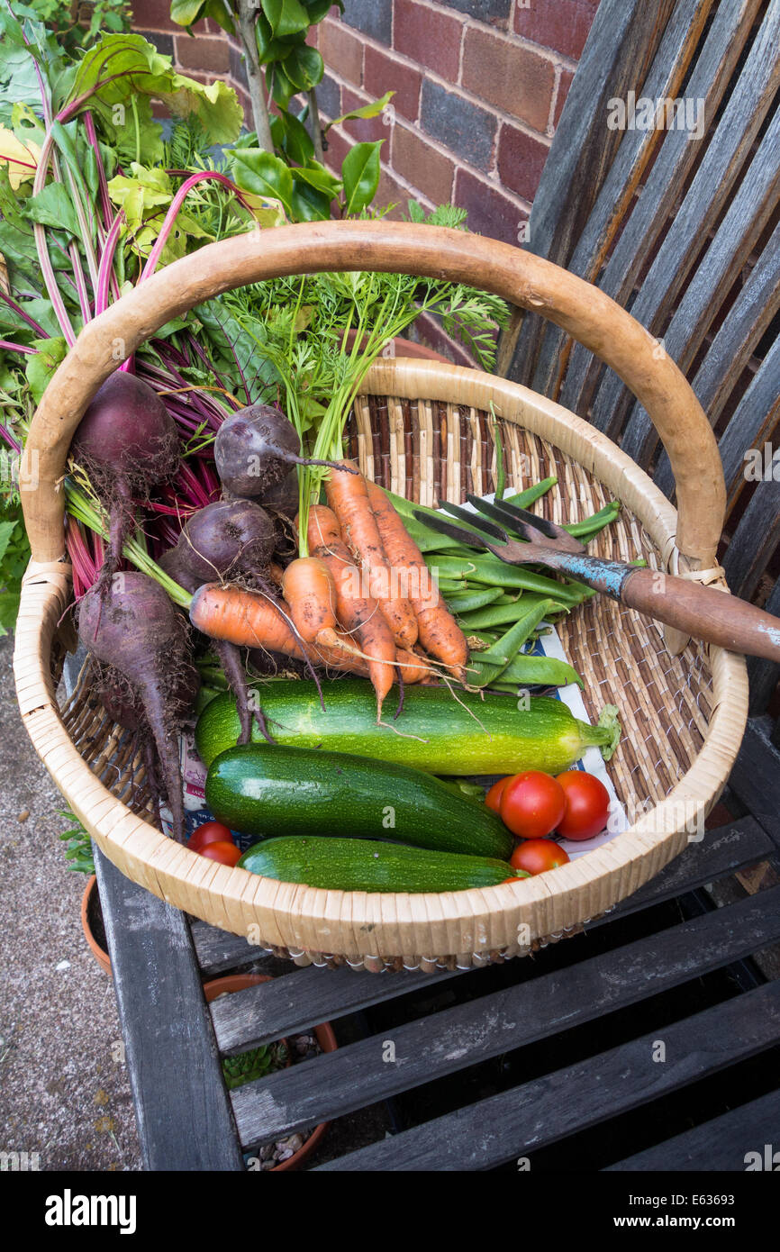 9. August 2014. Eine Trug voll von frisch geerntetem Obst und Gemüse und kleinen Graden Graben Gabel auf einer Gartenbank. Stockfoto