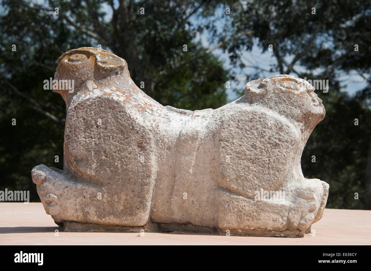 Zwei unter der Leitung Jaguar Uxmal-Yucatan-Mexiko Stockfoto