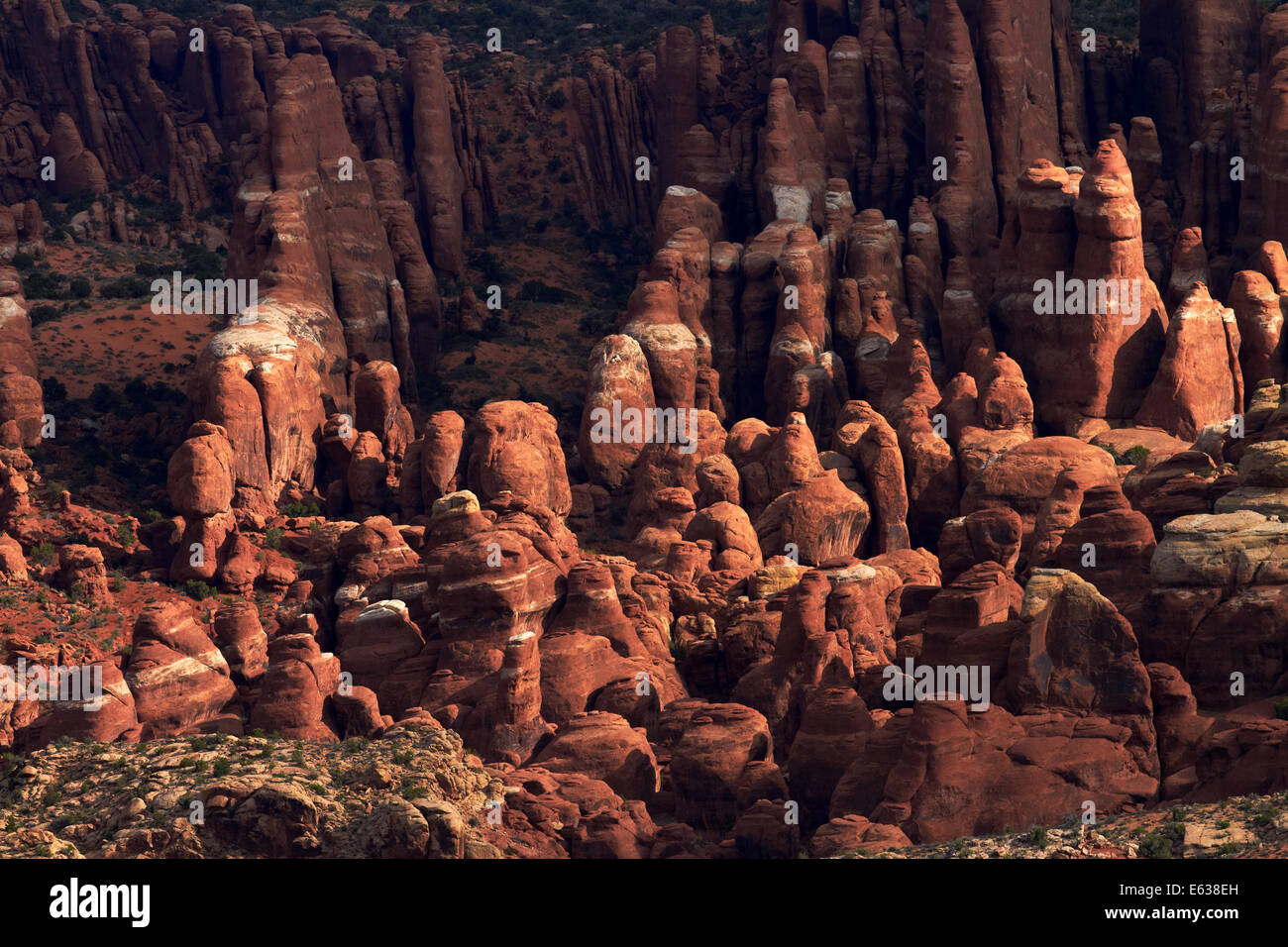 Feurigen Ofen Abschnitt des Arches-Nationalpark in der Nähe von Moab, Utah, USA Stockfoto