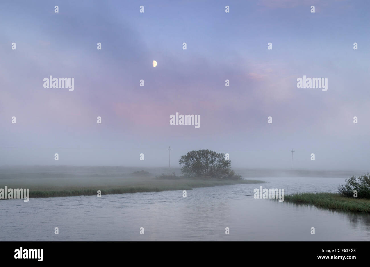 Mond, Foggy Abend, See Myvatn, Nordisland Stockfoto