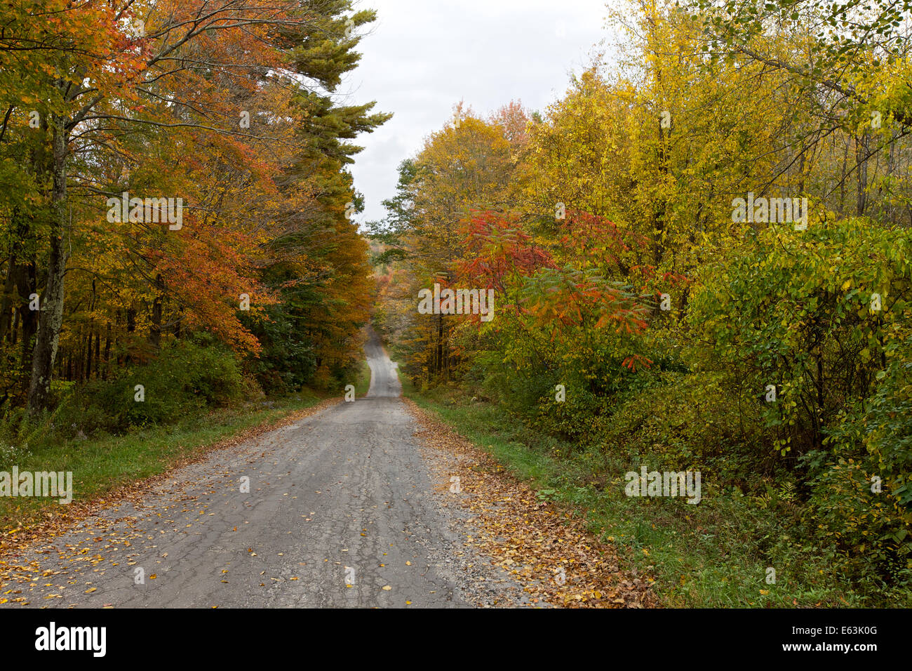 Herbst, New England, Connecticut, Vereinigte Staaten von Amerika Stockfoto