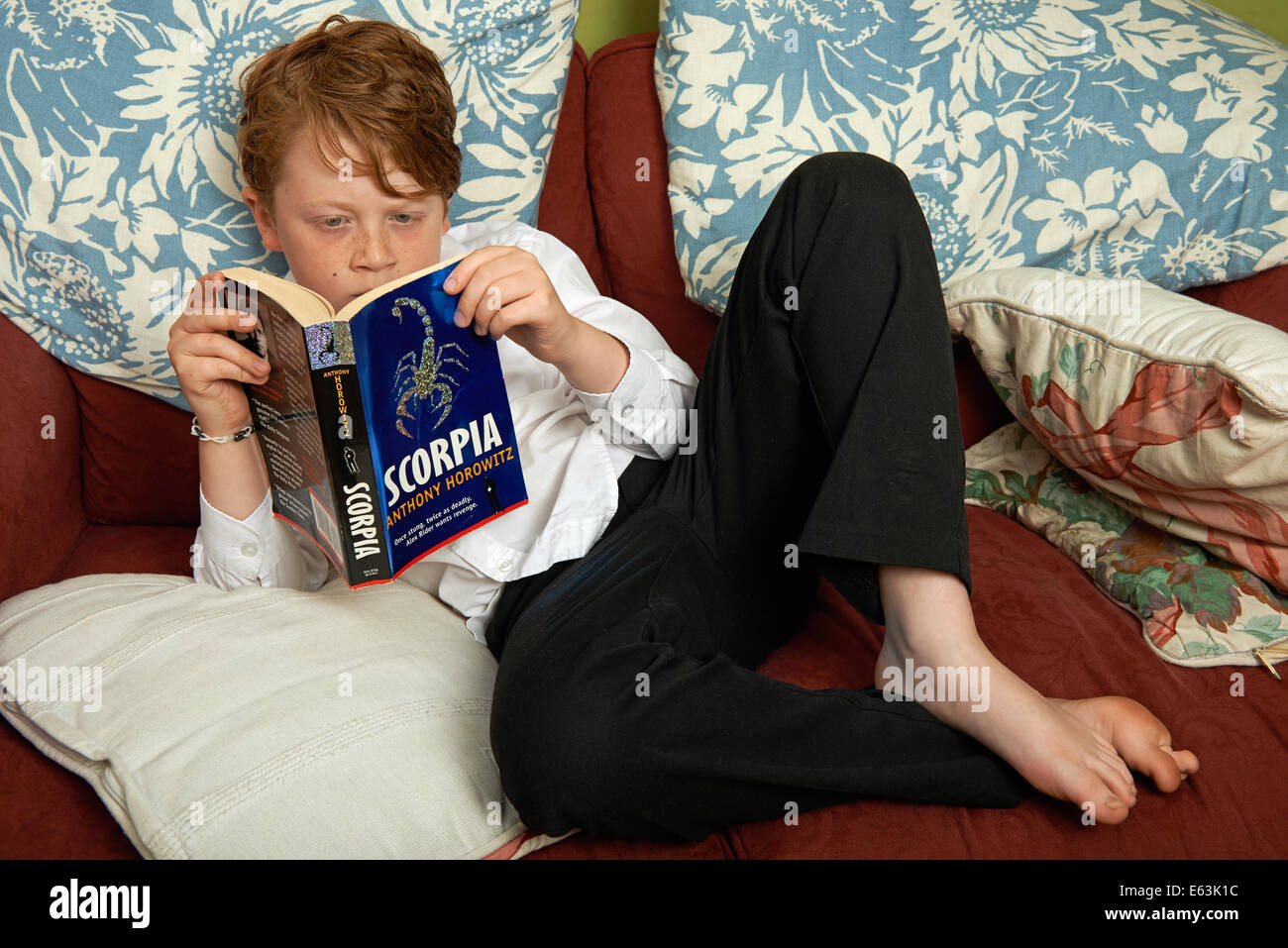 9 - jährigen Jungen lesen Scorpia und Roman von Anthony Horowitz auf dem Sofa zu Hause nach der Schule Stockfoto