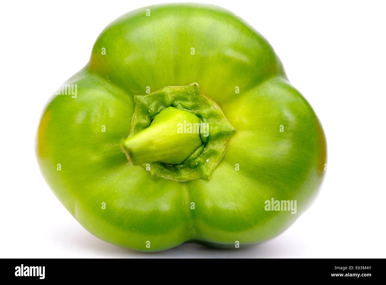 Grüne Paprika Stockfoto
