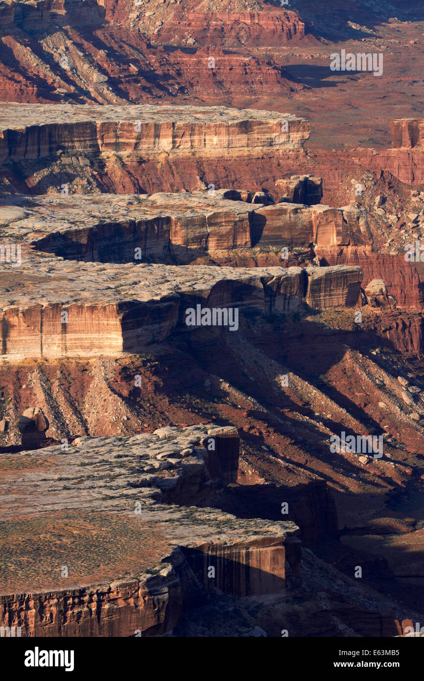 White Rim von Green River, gesehen vom Green River Overlook, Insel im Stadtteil Himmel, Canyonlands National Park, Utah, USA Stockfoto