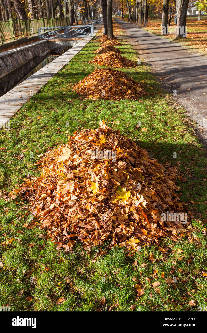 Herbst Park Gasse mit gelben Blatt Haufen Stockfoto