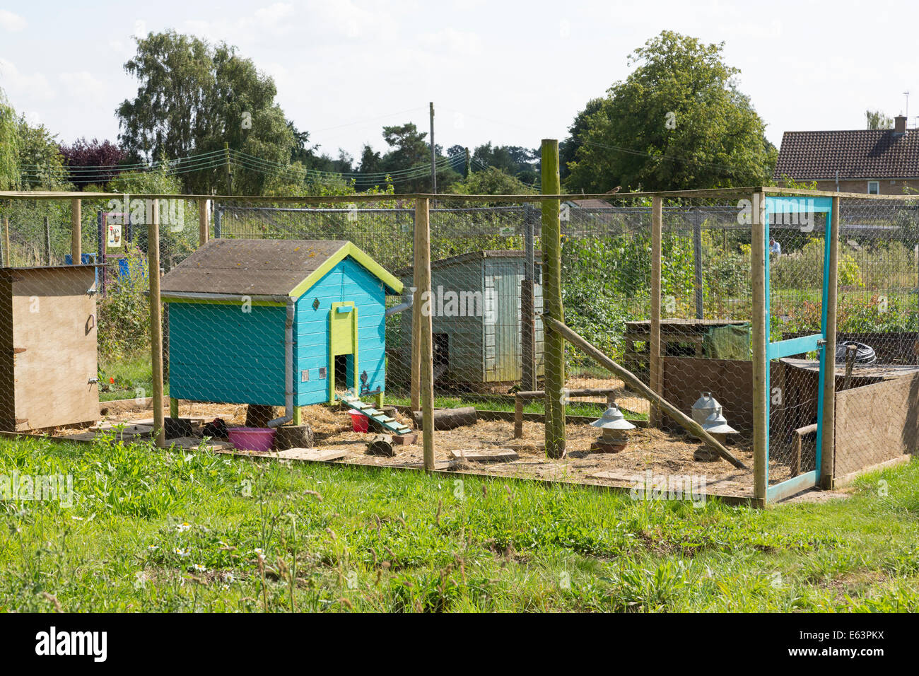 Chicken Run / Stift in Kleingärten in Walsham-Le-Willows, Suffolk, UK Stockfoto