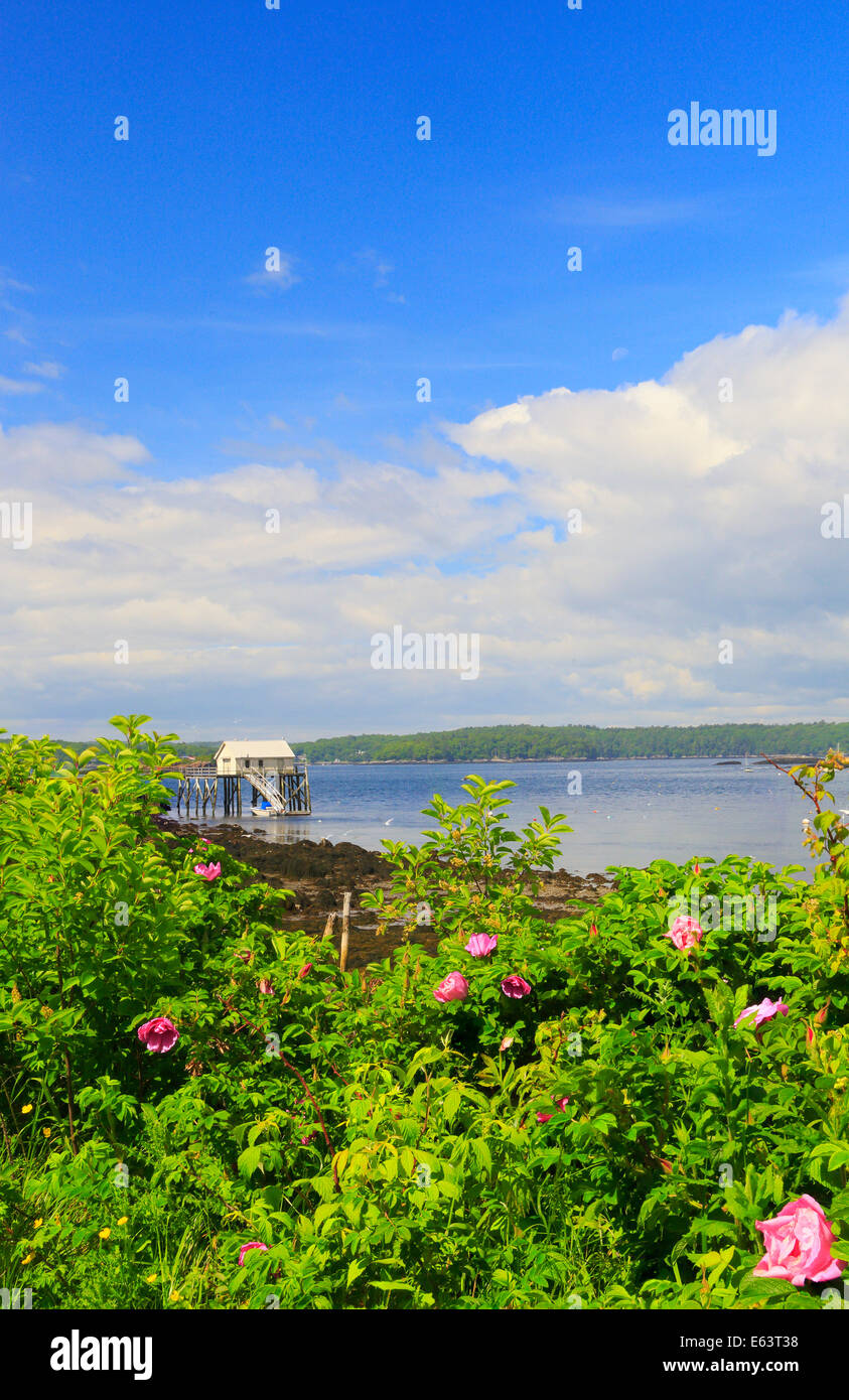 In der Nähe von Fort William Henry, Pemaquid Beach, Maine, USA Stockfoto
