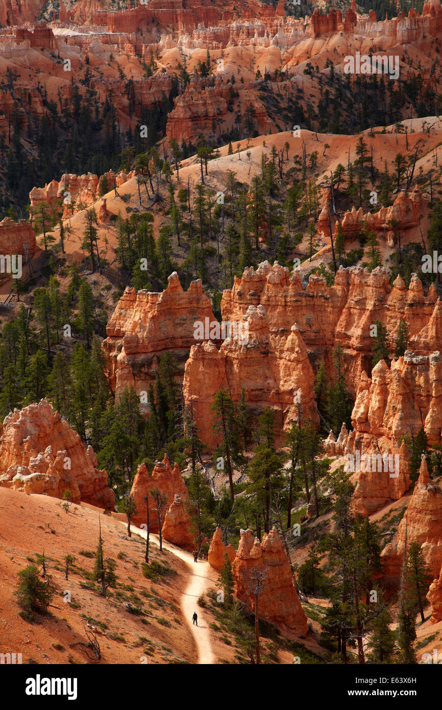 Wanderer auf Queens Garden Trail durch Hoodoos, Bryce-Canyon-Nationalpark, Utah, USA Stockfoto