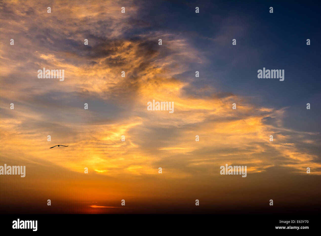 Sommer Sonnenaufgang Morgenhimmel Stockfoto