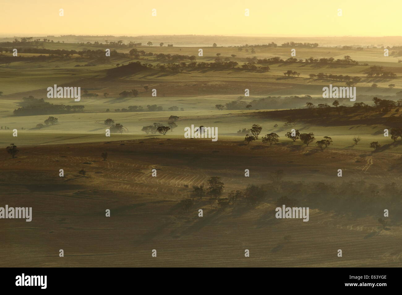 Am frühen Morgennebel streichelt landwirtschaftlich genutzten Feldern in der Nähe von Northam, Avon Valley, Western Australia - aus einem Heißluftballon betrachtet. Stockfoto