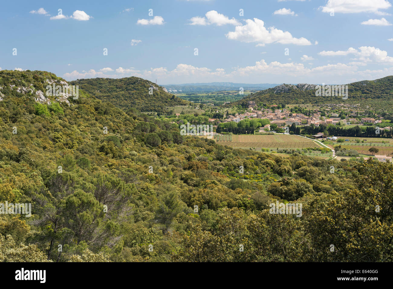 Typische Garrigue oder Garrigue-Landschaft in Südfrankreich, GR6 Weitwanderweg zwischen Saint-Bonnet-du-Gard Stockfoto