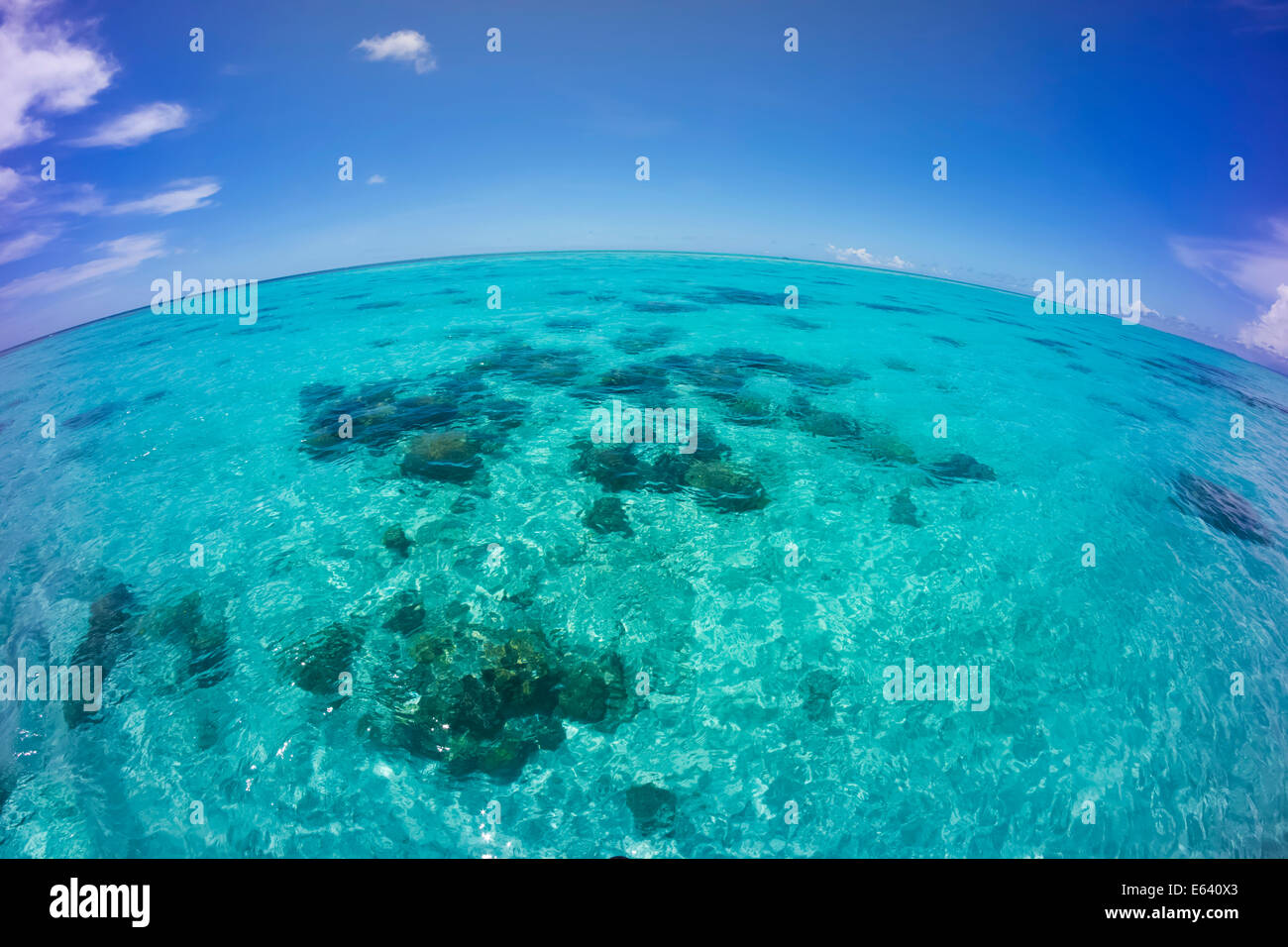 Inseln, fisheye, Palau, Mikronesien Stockfoto