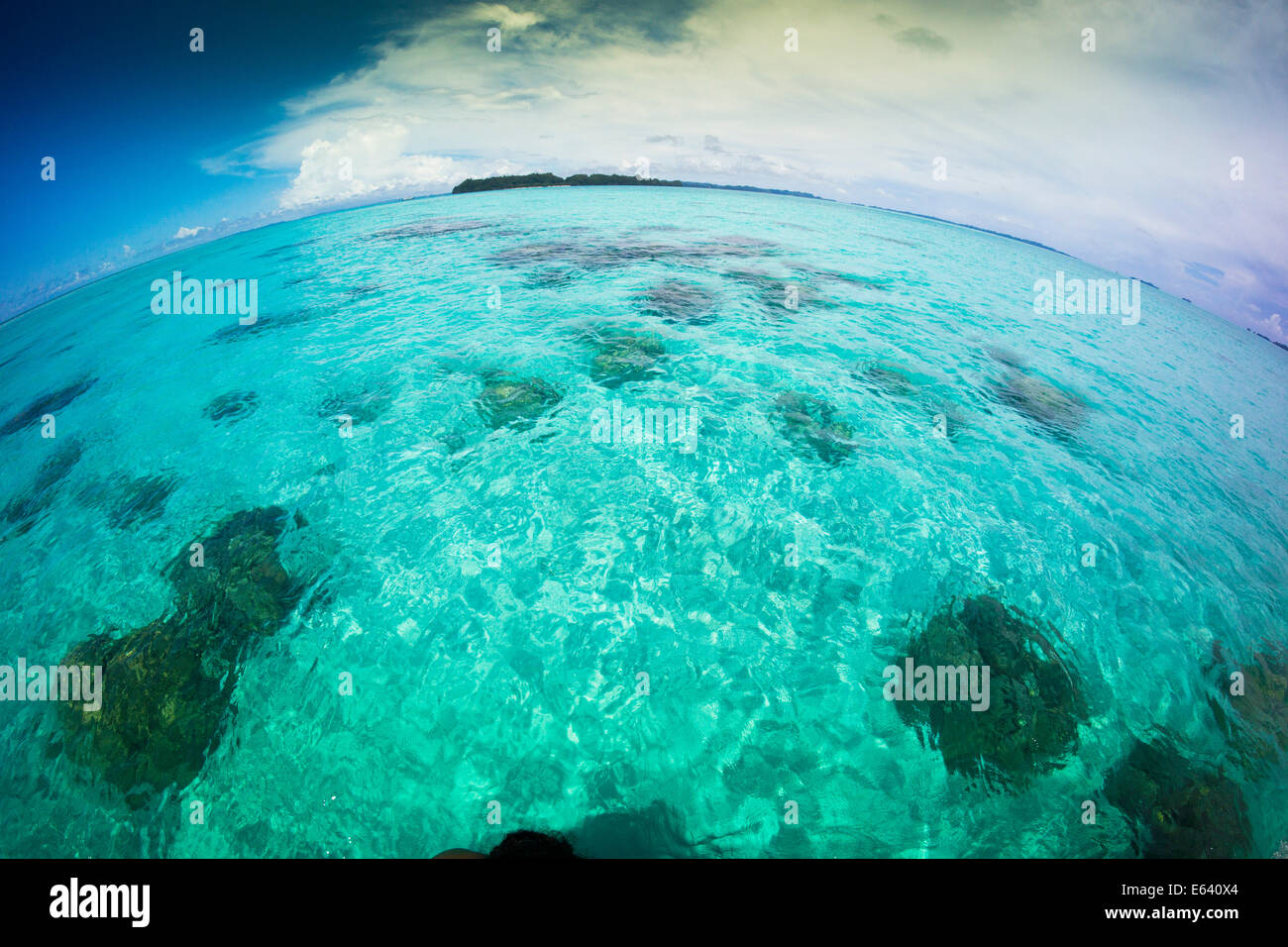 Inseln, fisheye, Palau, Mikronesien Stockfoto