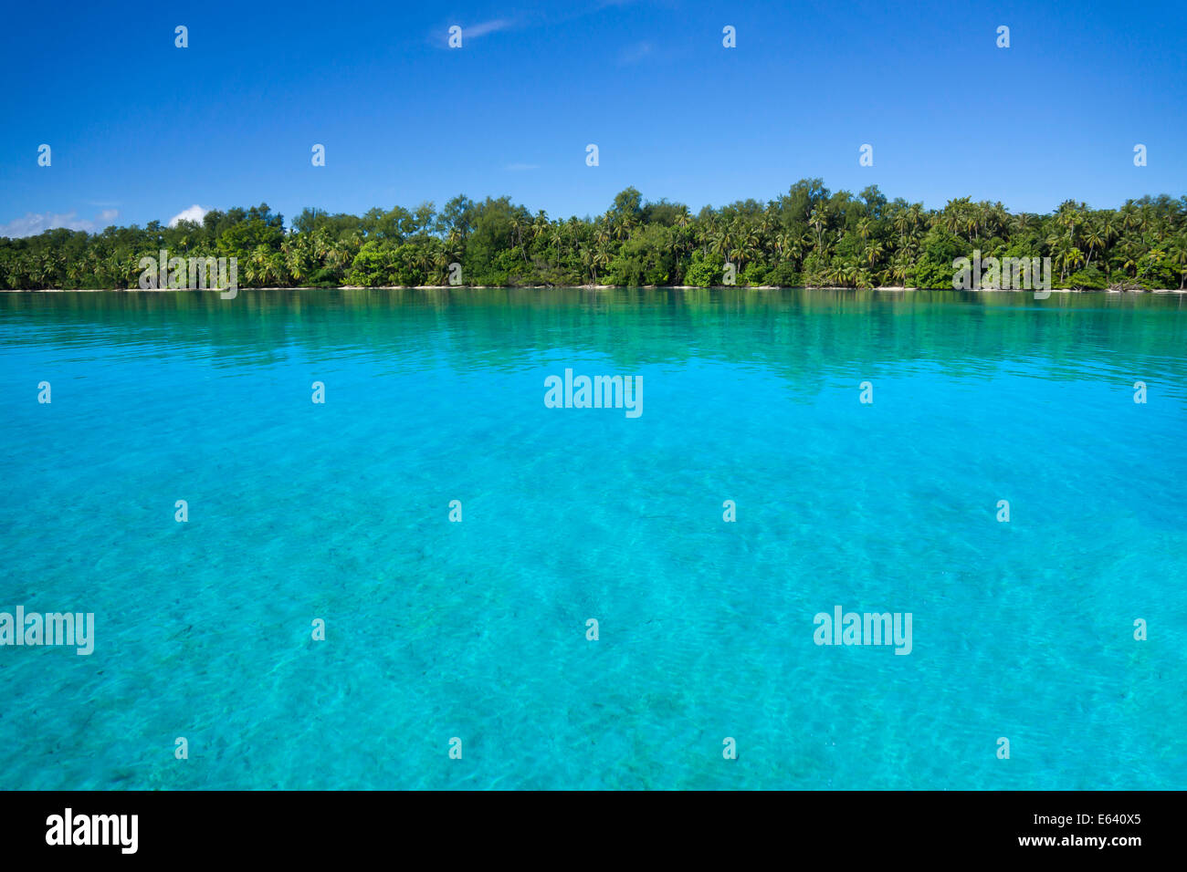 Insel, Palau, Mikronesien Stockfoto