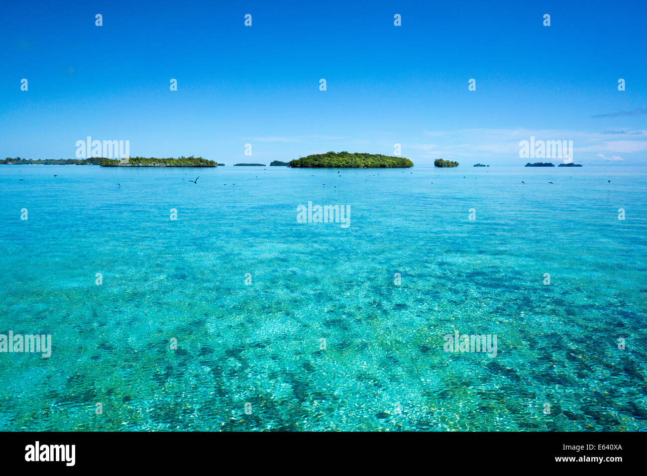 Inseln, Palau, Mikronesien Stockfoto