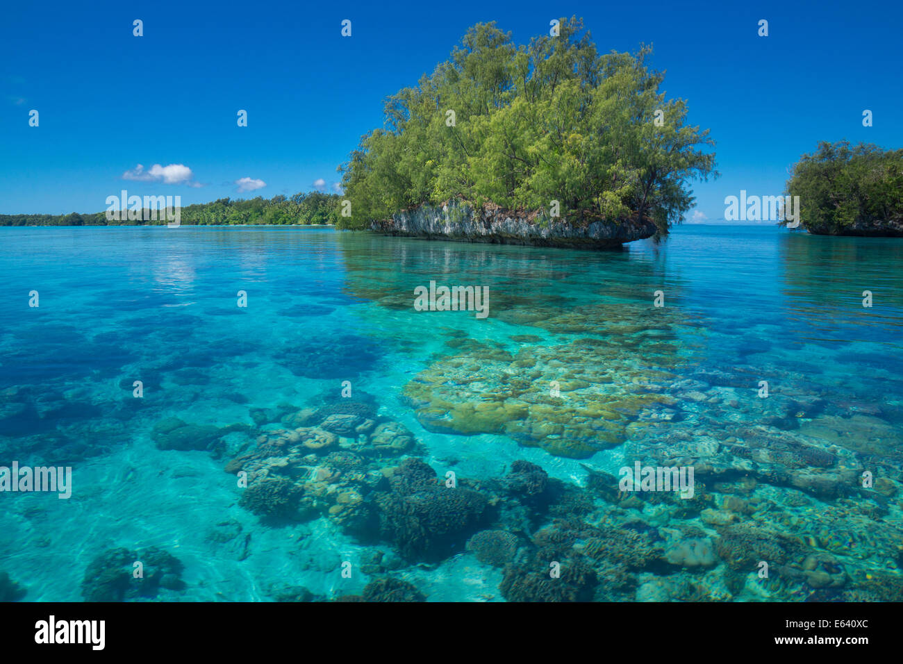 Inseln, Palau, Mikronesien Stockfoto