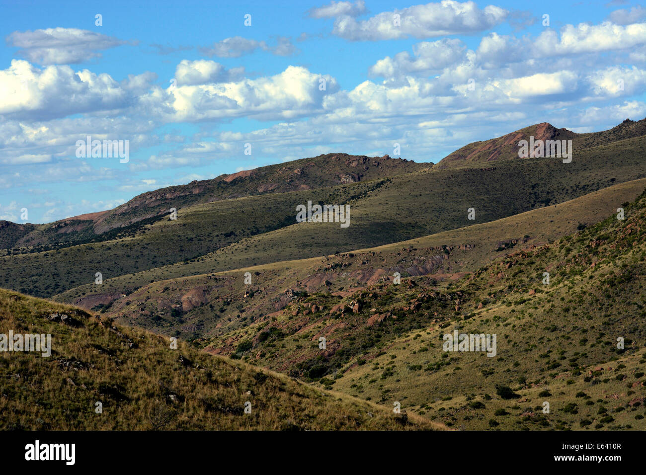 Landschaft im Mountain Zebra National Park, Eastern Cape, Südafrika Stockfoto