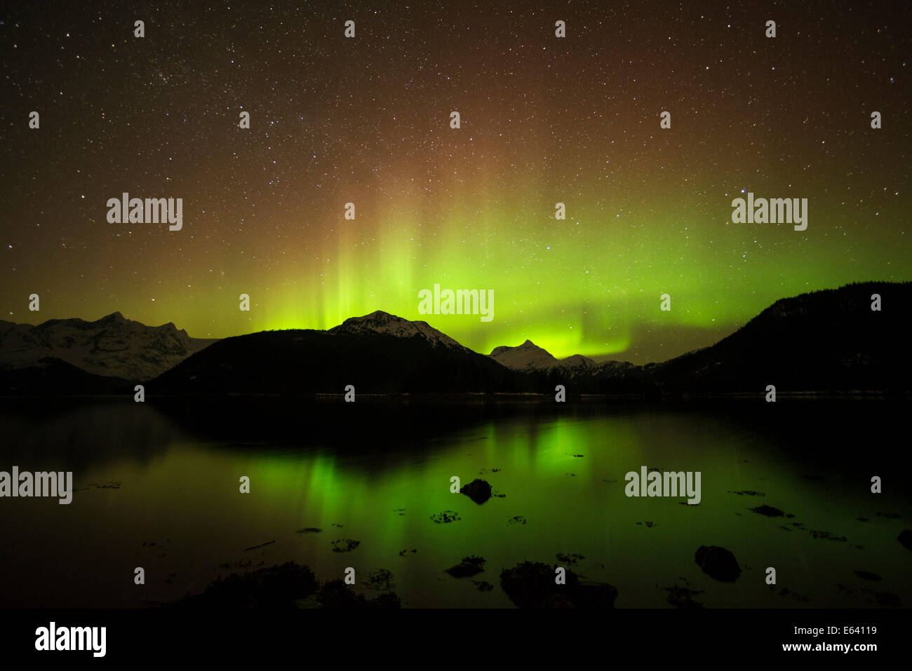 Aurora Borealis leuchtet die Chugach Range, Barry Arm, Prince William Sound, Alaska, USA Stockfoto