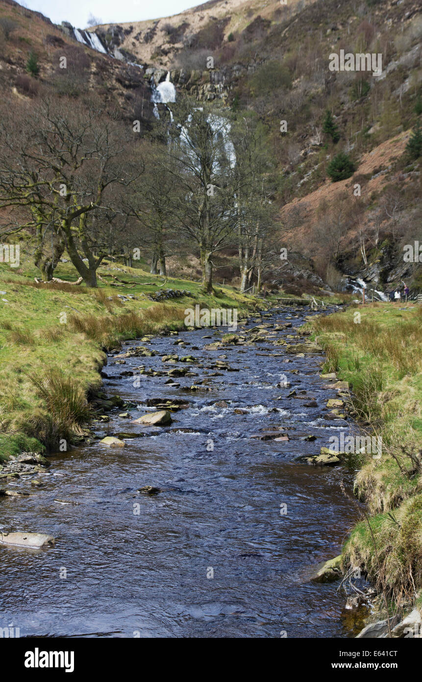 Rhiwargor, in der Nähe von Lake Vyrnwy, Montgomeryshire, Powys, Wales Stockfoto