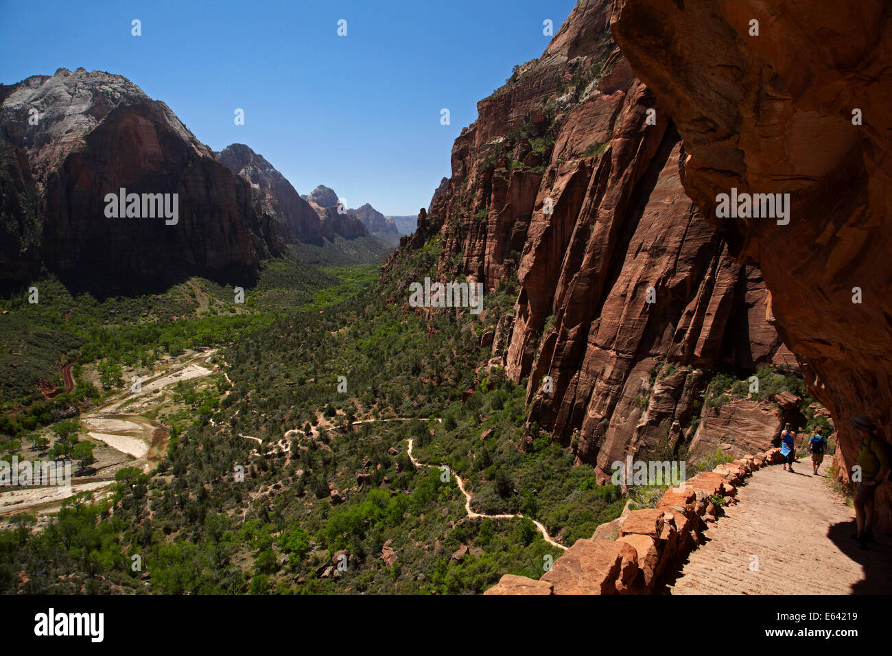 Wanderer im Zickzack hinauf verfolgen aus Zion Canyon West Rim Trail und Angels Landing Track, Zion Nationalpark, Utah, USA Stockfoto