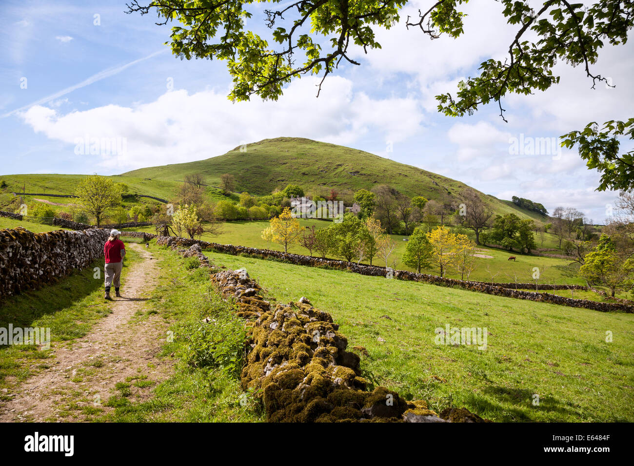 Eine Frau zu Fuß auf einem Wanderweg in Narrowdale mit Narrowdale Hügel hinter Derbyshire Peak District National Park im Sommer Stockfoto