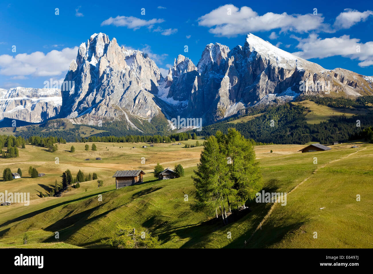 Italien, Italia Trentino-Alto Adige, South Tyrol Bozen Viertel Alpe di Siusi, Seiser Alm Stockfoto