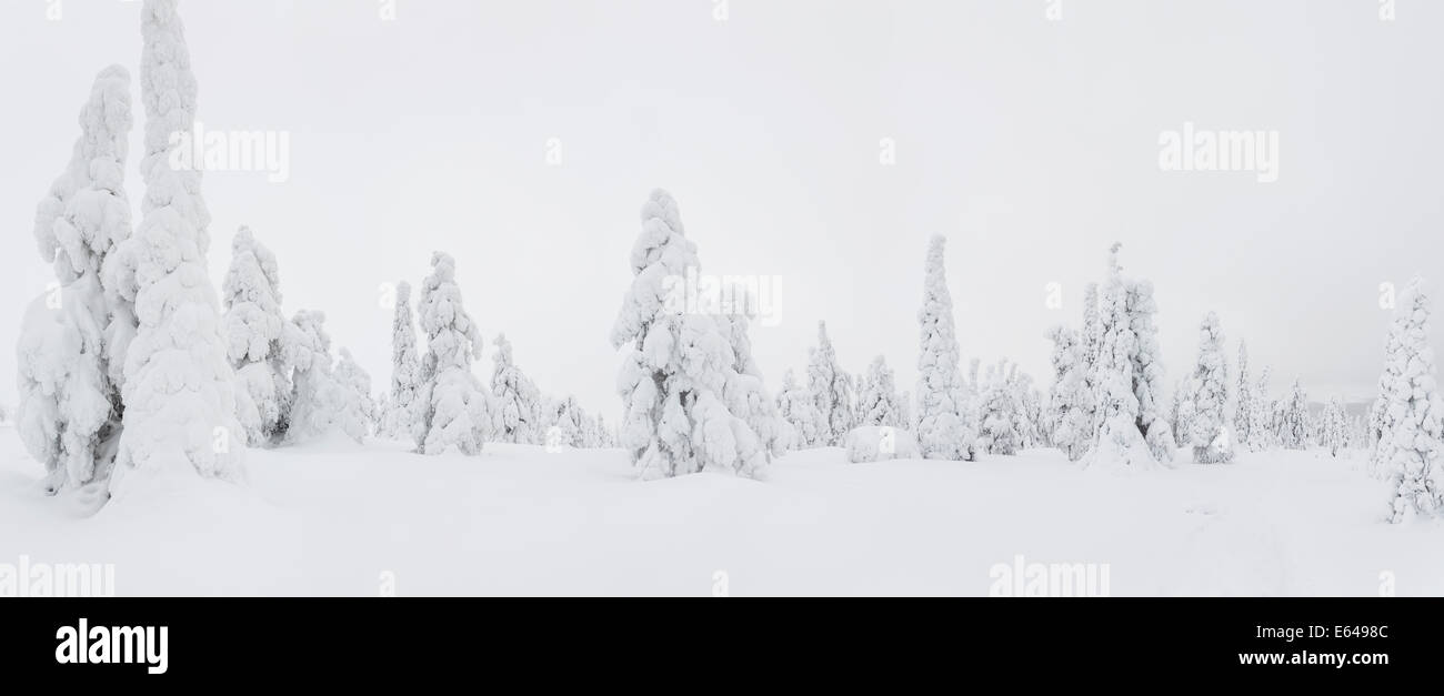 Winter im Nationalpark Riisitunturi, Lappland, Finnland Stockfoto