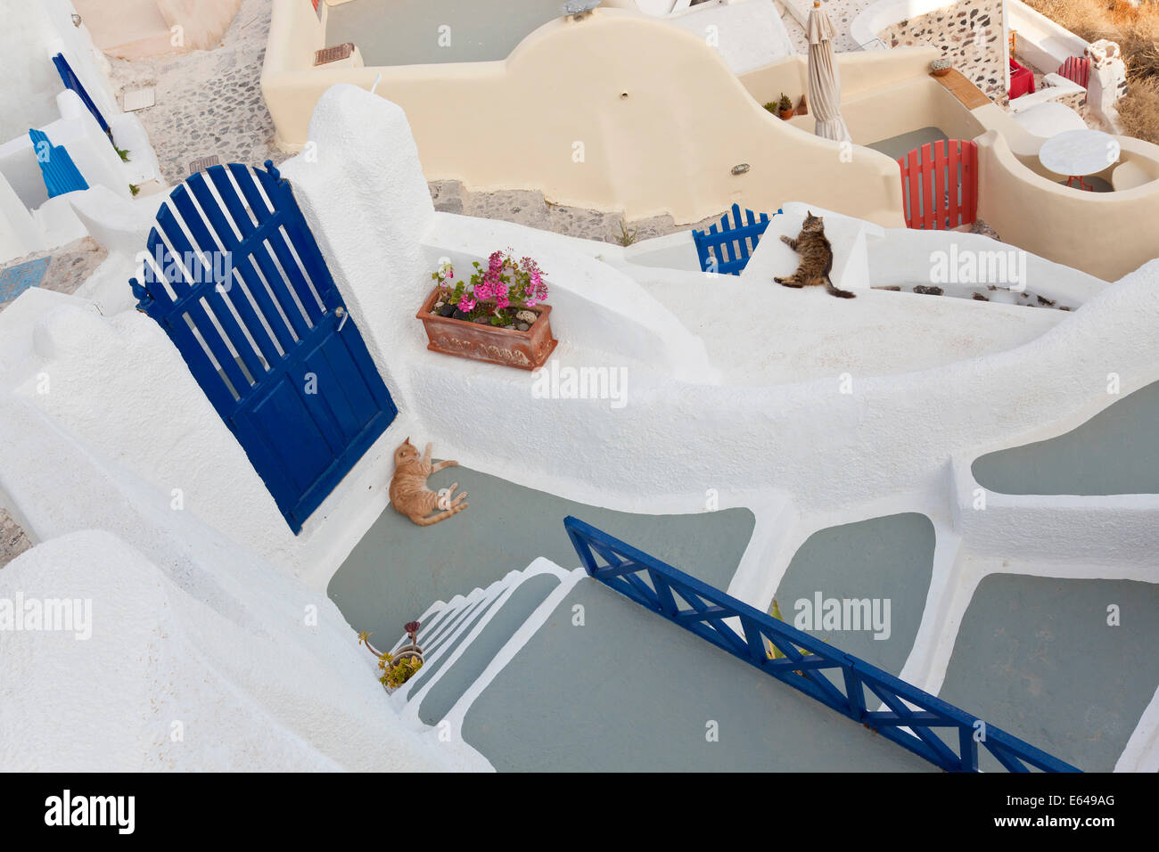 Katzen, Oia, Santorini, Kykladen, Griechenland Stockfoto