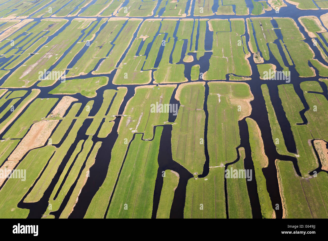 Polder oder neu beanspruchten Gebiete, Nord-Holland, Niederlande Stockfoto