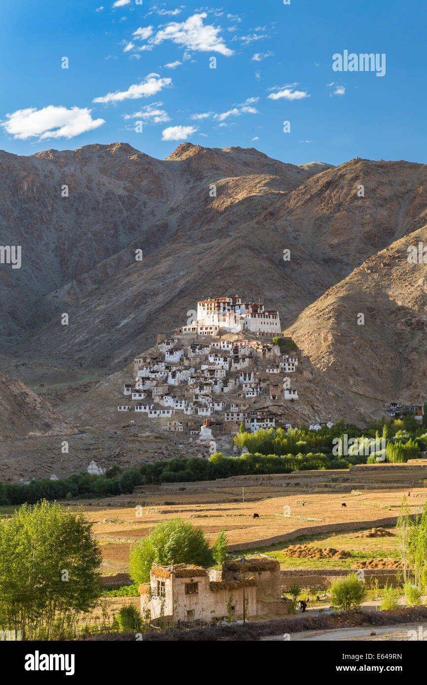 Chemre oder Chemrey Dorf & Kloster, nr Leh, Ladakh, Indien Stockfoto
